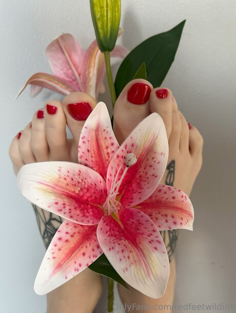 asian onlyfans top gallery