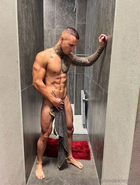 Blondekingfree perfect star galleries