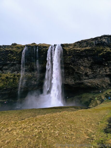 summer trans onlyfans free porn picture