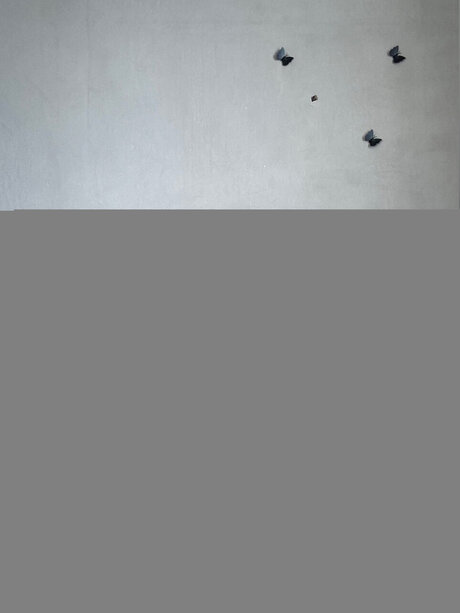 Olivi Star star hot pics