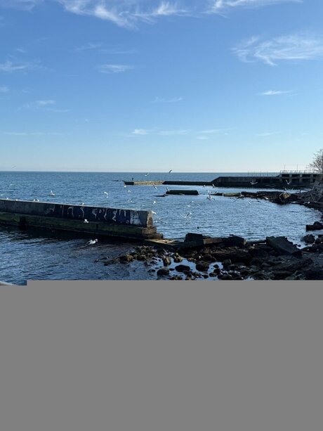 Olivi Star star hd image