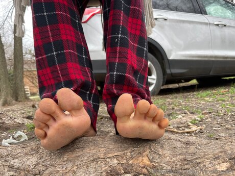 Drippmaker nice model gallery