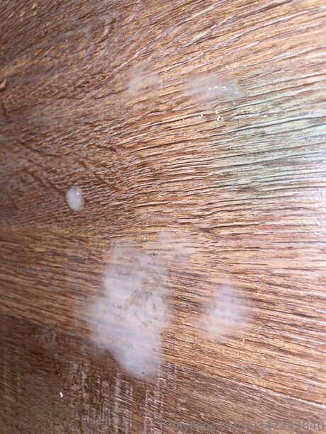 princess pussy onlyfans pornographic picture