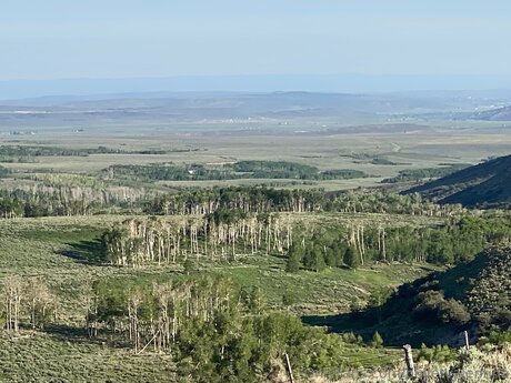 Bulletvalentina Profile