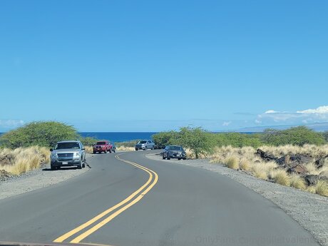 Bulletvalentina model nice archive