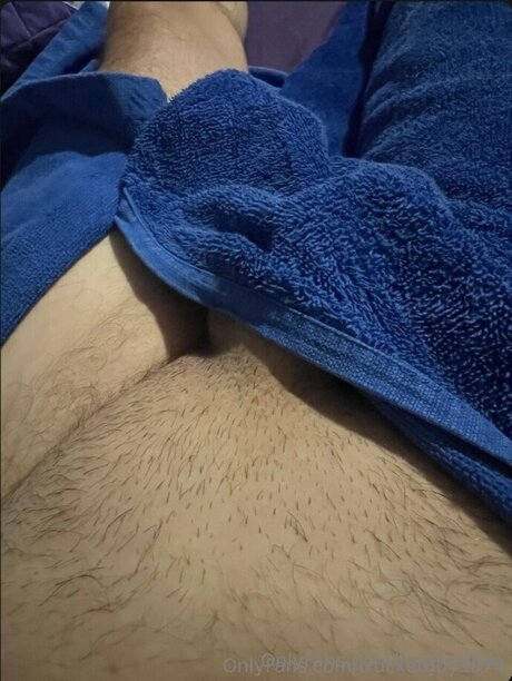 Houseoffan star top picture