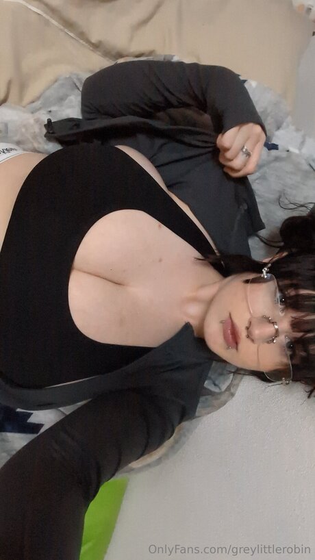 Greylittlerobin model art archive