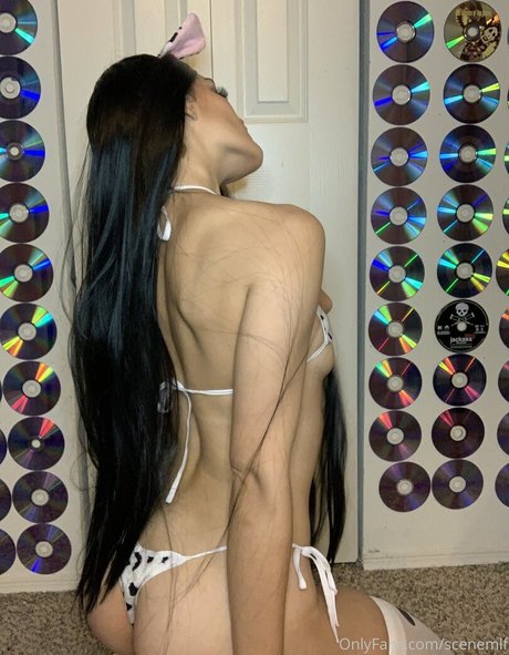 florida girl onlyfans adult archive