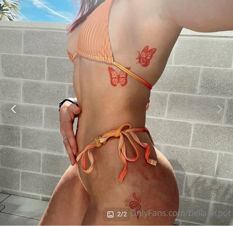 Bella potocny star perfect image