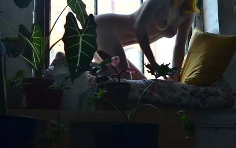 sophiasmokes sex pornstar galleries