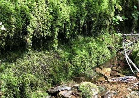 big ass big tits onlyfans art porn galleries