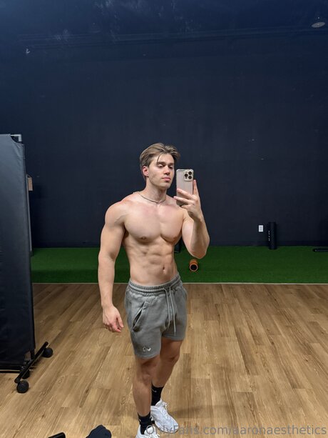 Aaronaesthetics porn star photos