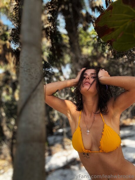 Leahwbrooke nice pornstar photo