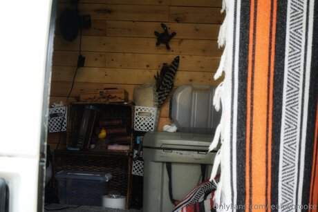 Leahwbrooke nice star pics