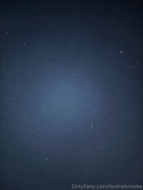 curvy nude onlyfans adult pic