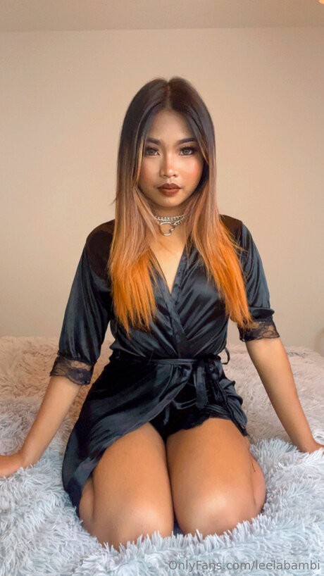 Leelabambi star art image