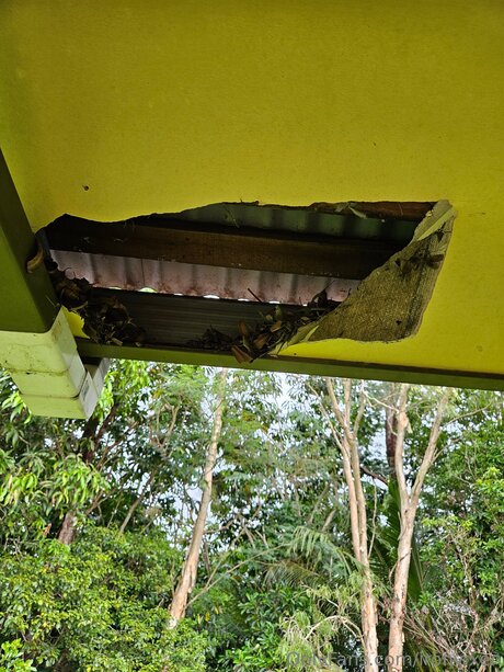 Ironvixen sexy pornstar pic