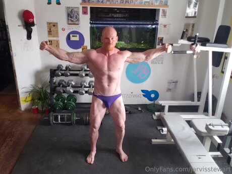 Jarvisstewart pornstar top archive