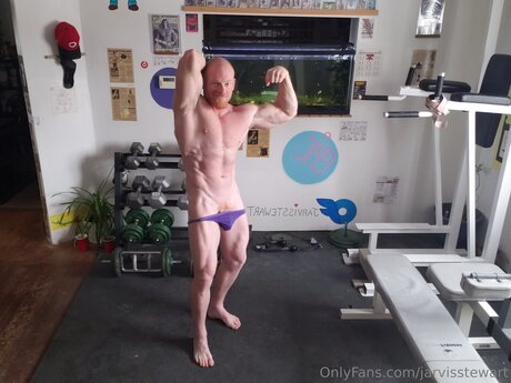 Jarvisstewart Images