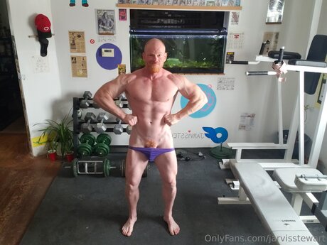 Jarvisstewart free star photo