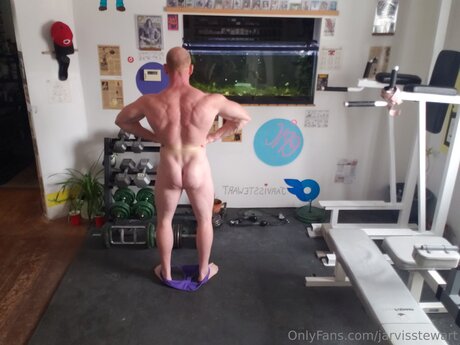 Jarvisstewart model top picture