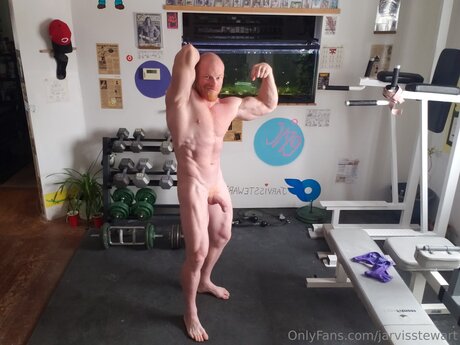 Jarvisstewart star top photos