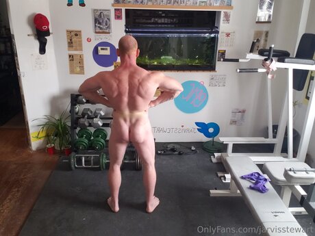 Jarvisstewart pornstar best galleries