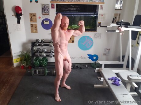 Jarvisstewart pornstar art img