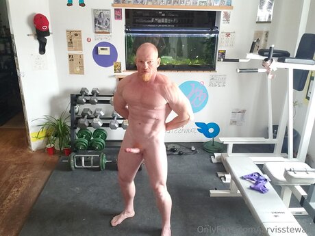 Jarvisstewart art pornstar pics