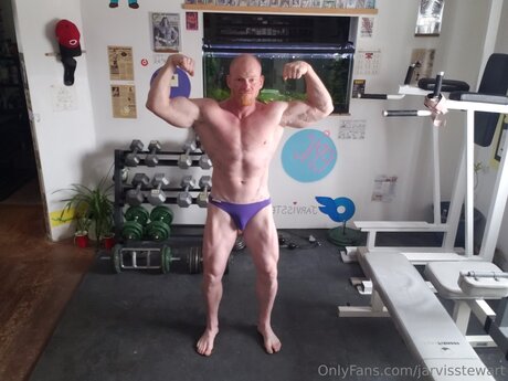 Jarvisstewart pretty model archive