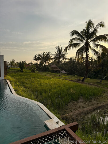 hairy legs onlyfans sex photo