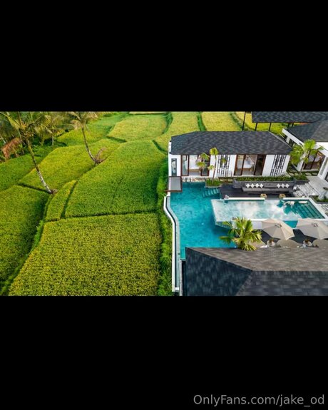 Jake Od star nudes image