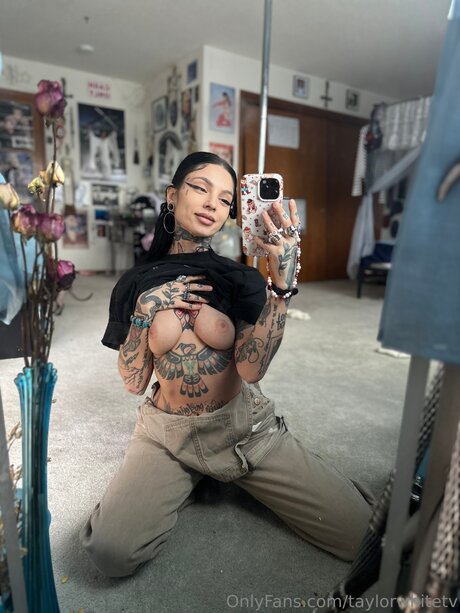 Taylorwhitetv pornographic star pictures