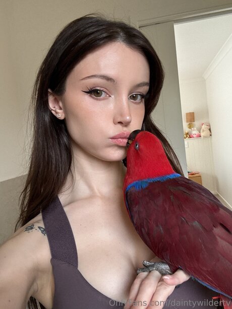 Daintywildertv model naked img