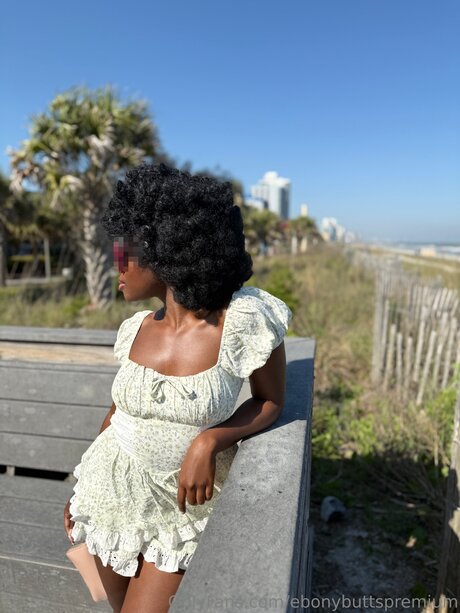 Ebonybuttspremium exclusive star picture