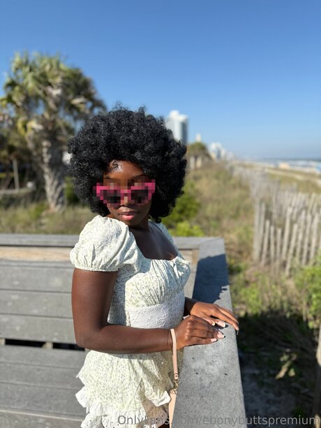 Ebonybuttspremium high quality star images