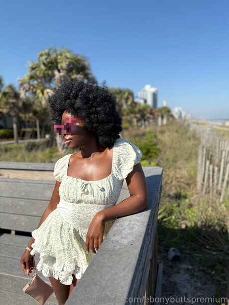 Ebonybuttspremium pretty star archive