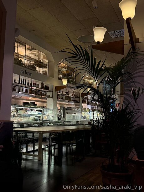 Sasha Araki Vip model pretty picture