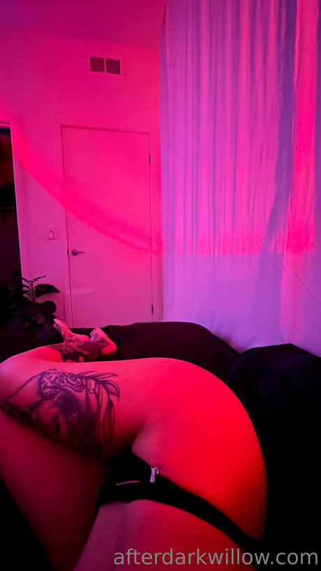 _Lay Willow model porn pictures