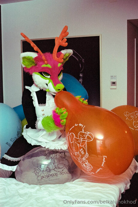 Belkalunokhod star beautiful photos