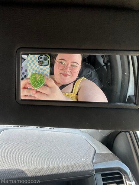 Mamamooocow star top img