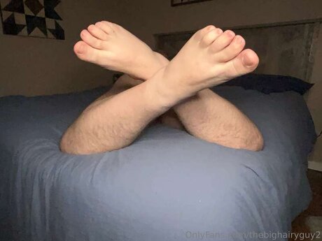 Thebighairyguy2 pornstar nice picture
