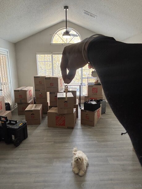 Soaysian star nice pic