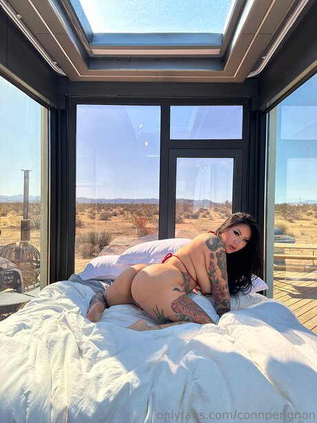 Connperignon pornstar top image