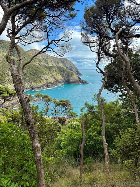 Breasts In Nature Free star porn pics