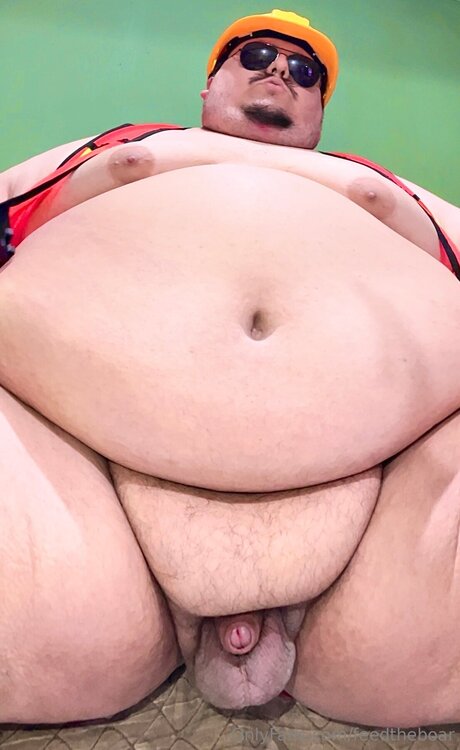 Feedtheboar adult model images