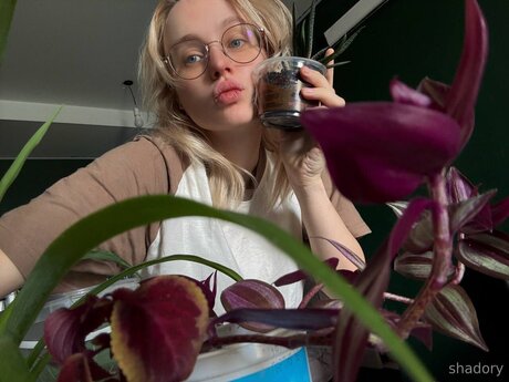 Shadory star sex img