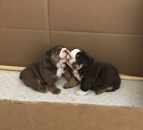 anal orgasm onlyfans nudes pic