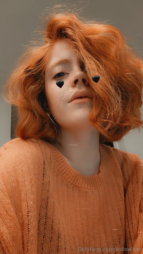 Willow Trie model perfect gallery