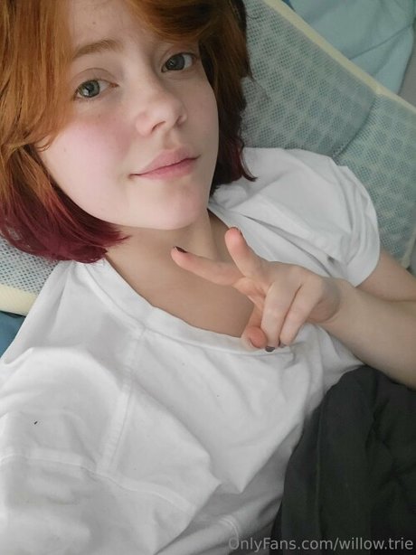 Willow Trie model xxx img